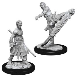 Dungeons & Dragons: Nolzur's Marvelous Minis: Male Half-Elf Monk W10 (Unpainted)