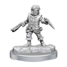Dungeons & Dragons Frameworks: W02A Male Halfling Rogue