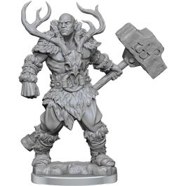 Dungeons & Dragons Frameworks: W02A Goliath Barbarian Male