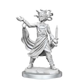 Dungeons & Dragons Frameworks: W02A Medusa