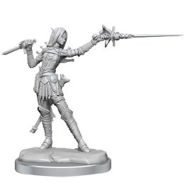 Pathfinder Legendary Cuts: W02A Female Elf Rogue