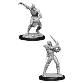 Dungeons & Dragons: Nolzur's Marvelous Minis: Wight & Ghast W11 (Unpainted)
