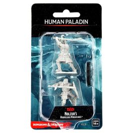 Dungeons & Dragons: Nolzur's Marvelous Minis: Human Paladin Male Wave 14 (Unpainted)