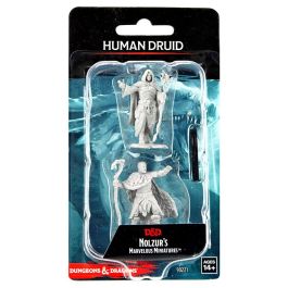Dungeons & Dragons: Nolzur's Marvelous Minis: Human Druid Male Wave 14 (Unpainted)