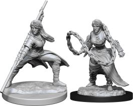 Dungeons & Dragons Nolzur`s Marvelous Unpainted Miniatures: W14 Human Monk  Female