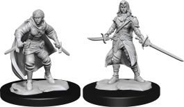 Dungeons & Dragons Nolzur`s Marvelous Unpainted Miniatures: W14 Half-Elf Rogue  Female