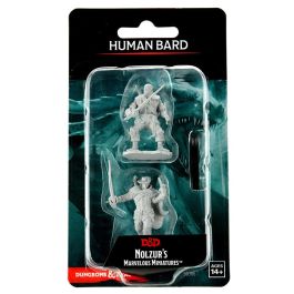 Dungeons & Dragons: Nolzur's Marvelous Minis: Human Bard Male Wave 15 (Unpainted)