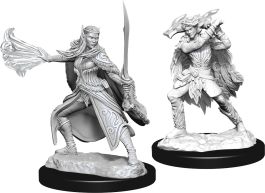 Dungeons & Dragons Nolzur`s Marvelous Unpainted Miniatures: W15 Winter Eladrin  & Spring Eladrin