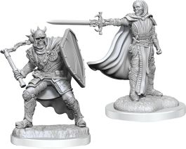 Dungeons & Dragons Nolzur`s Marvelous Unpainted Miniatures: W20 Death Knights