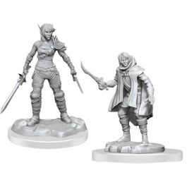 Dungeons & Dragons Nolzur`s Marvelous Unpainted Miniatures: W19 Elf Rogue & Half-Elf Rogue Protg