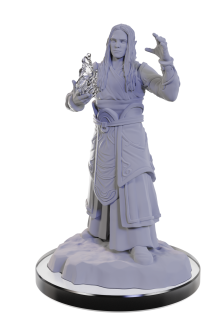 Dungeons & Dragons: Nolzur`s Marvelous Miniatures - Elf Wizards