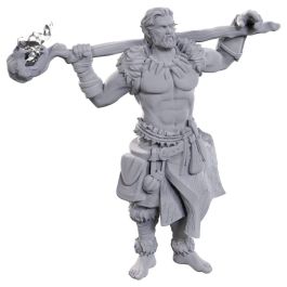 Dungeons & Dragons: Nolzur's Marvelous Unpainted Miniatures - W24 Archdruid & Martial Arts Adept