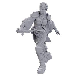 Dungeons & Dragons Nolzur's Marvelous Miniatures: Swashbuckler