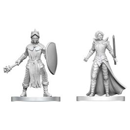 Dungeons & Dragons: Nolzur's Marvelous Miniatures: Black Gauntlet & Zhentilar Paladin of Bane