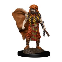 Dungeons & Dragons Fantasy Miniatures: Icons of the Realms Premium Figures W4 Human Druid Male