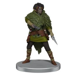 Dungeons & Dragons: Icons of the Realms Dragonlance - Warrior Set